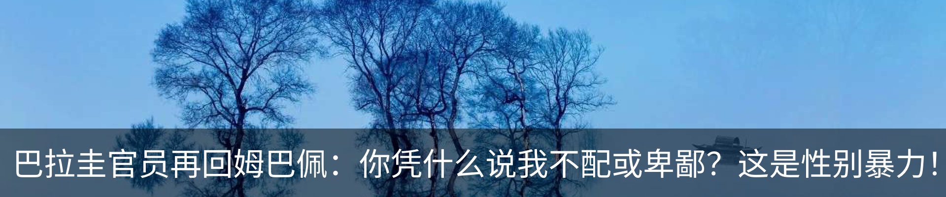 新闻动态