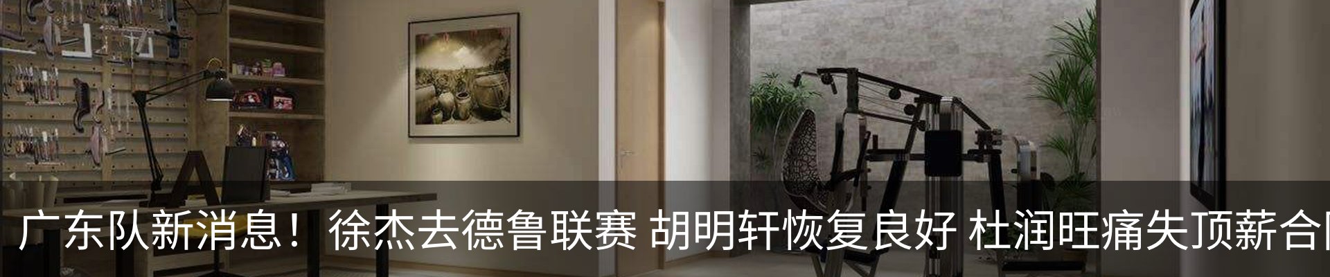 新闻动态