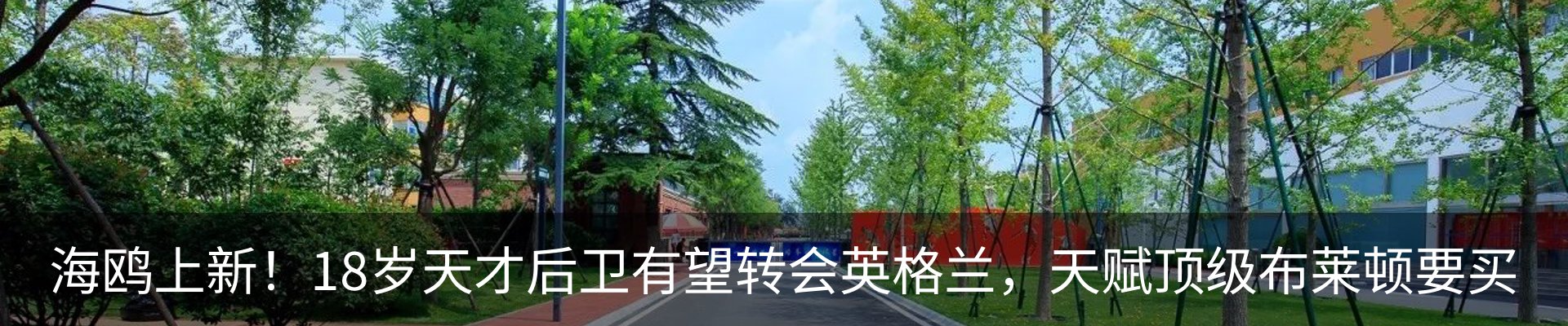 新闻动态