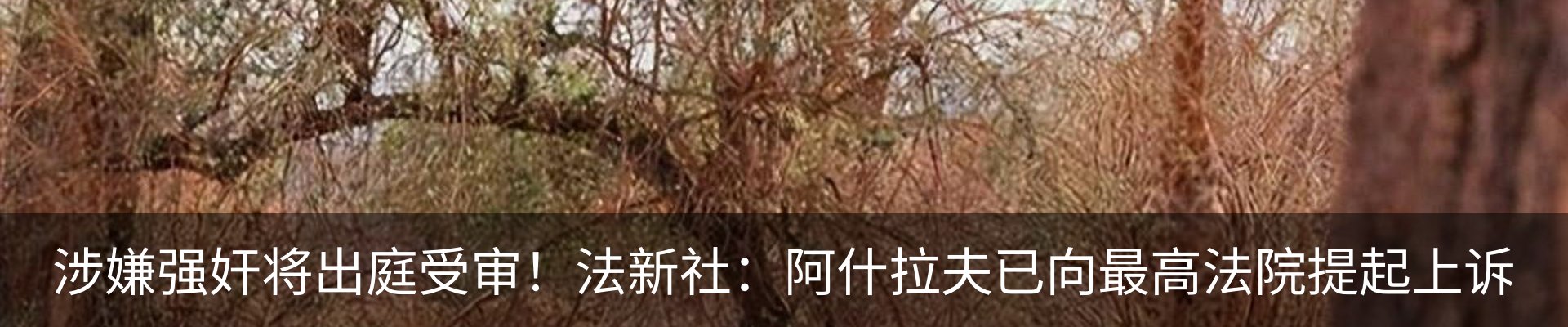 新闻动态