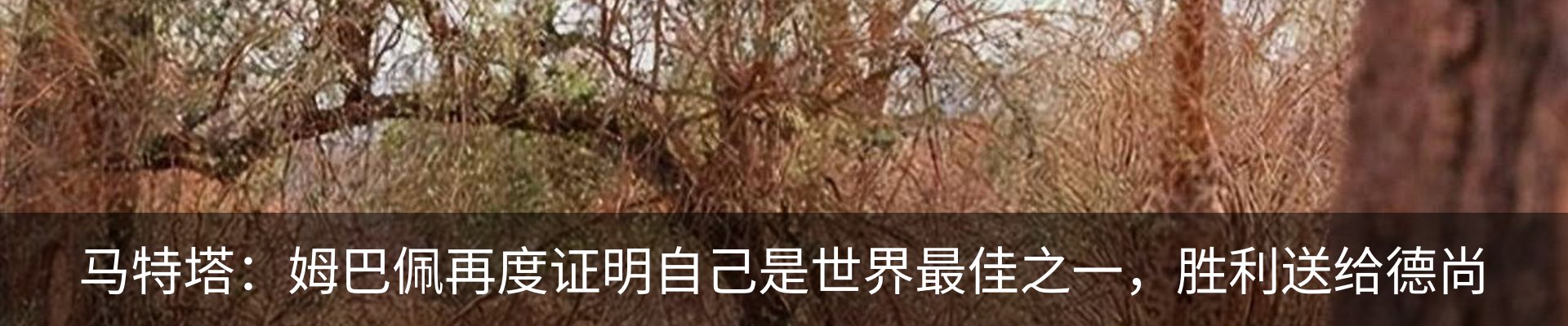 新闻动态