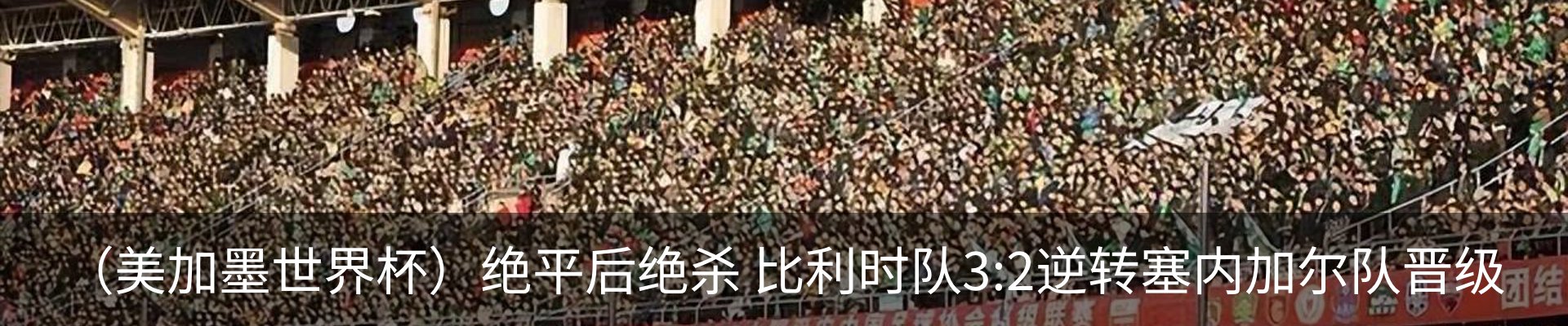 新闻动态
